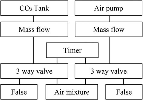 schematically overview breathing  scientific diagram