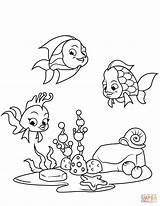 Coral Coloring Reef Fish Pages Drawing Easy Printable sketch template