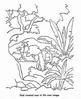Creation Coloring Pages Bible God Story Man Printables Days Para Created Del Colorear El Eva Made His Clipart Sheets Own sketch template