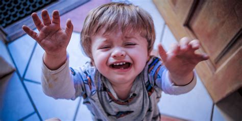 toddler throws  tantrum  tips    calm
