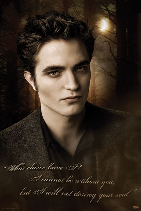 would we like twilight if it weren t for edward letters to twilight