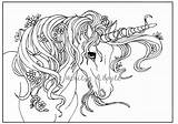Unicorn Coloring Adult Pages Girls Flowers Printable Frank Lisa Book Digital Easy Fantasy Etsy Garden Colouring Unicorns Sheets Detailed Einhorn sketch template