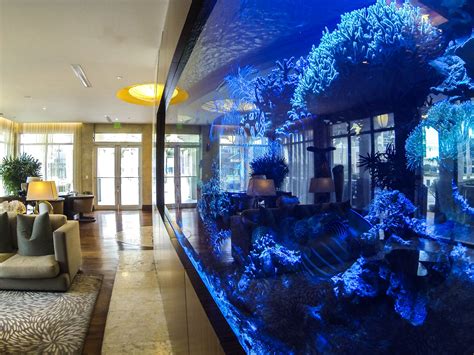 lobby tank reflections  seagate hotel spa   atlantic