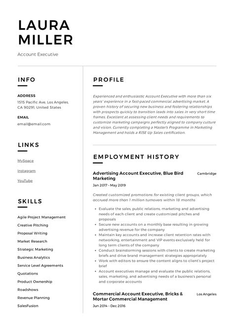 account executive resume guide  templates