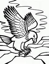Eagle Coloring Bald Printable Pages Kids Clipartbest Clipart sketch template