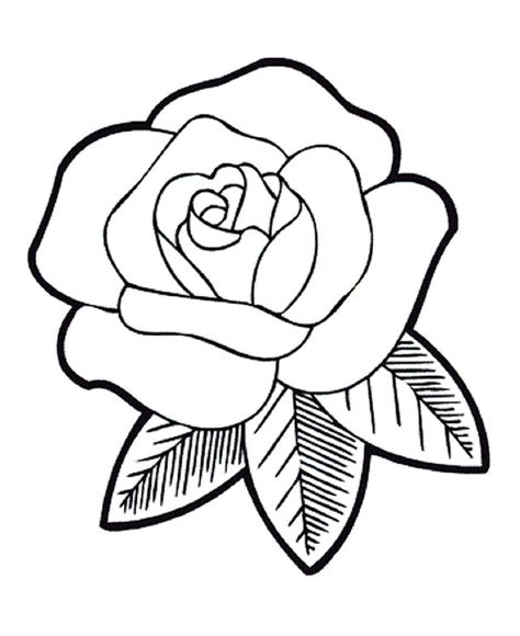 gambar bunga hitam putih kartun gambar bagian tumbuhan