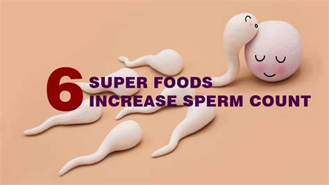 6 foods increase sperm count youtube