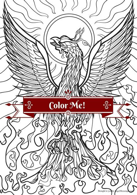 phoenix rising coloring page adult coloring page angel messenger