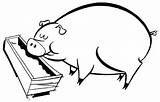 Colorir Cerdos Porco Pig Trough sketch template