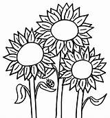 Sunflower Coloring Pages Printable Flower Colouring Kids Flowers Sheets Print sketch template