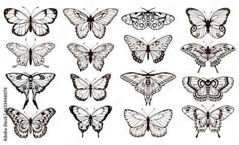 butterfly silhouettes black outline butterflies tattoo graphic