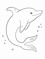 Delfines Imprimir Golfinhos Colorir Delfin Robbe Golfinho Dolphins Ausmalbild Ausmalbilder Kolorowanka sketch template