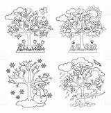 Seasons Stagioni Pory Roku Trees Quattro Drzewo Alberi Cino Pinu Zdroj Malowankę Wydrukuj Vettoriali Articolo sketch template
