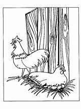 Chicken Coloring Pages Animated Coloringpages1001 Chickens Fun Kids Gifs sketch template