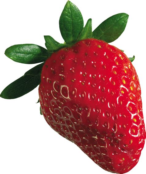 strawberry png image purepng  transparent cc png image library