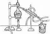 Apparatus Distillation Golgi sketch template