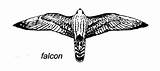 Falcon Wings Spread Template sketch template