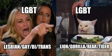 image tagged in lgbt lesbian gay bisexual transgender cats imgflip