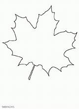 Coloring Leaves Pages Print Comments Leaf Maple sketch template