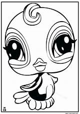 Littlest Pet Shop Coloring Pages Zoe Getcolorings sketch template