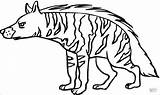 Coloring Hyena Hiena Colorear Rayada Scary Pantanal Animais Dibujos Hienas Coloringbay Lucas Mato Noites sketch template