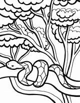 Jungle Coloring Pages Snake Kids sketch template
