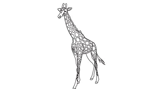 template   giraffe paper plate giraffe craft   template