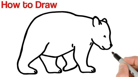 easy pictures  animals  draw