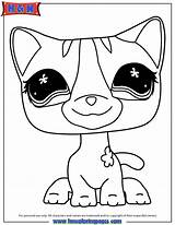 Coloring Pages Pet Littlest Shop Cat Lps Print Dog Collie Cats Dogs Printable Color Printables Library Frozen Easter Cartoon Clipart sketch template