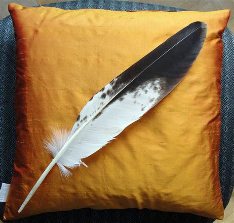 eagle feathers ideas  pinterest native beadwork american