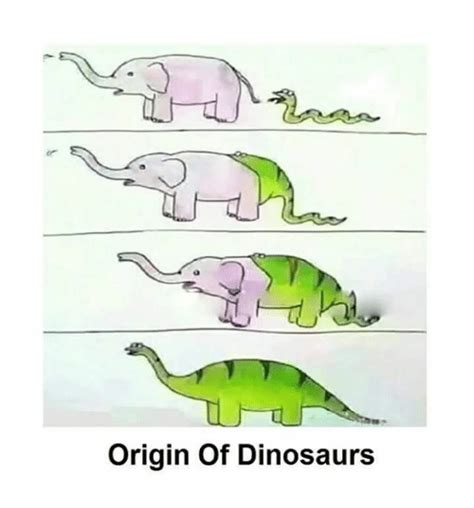 Origin Of Dinosaurs Dinosaur Meme On Me Me