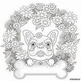 Bulldog Ausmalen Mops Erwachsene Mandalas sketch template