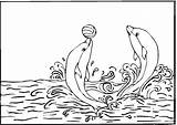 Dolphin Kleurplaten Dolfijnen sketch template
