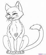 Cat Anime Draw Warrior Coloring Drawing Pages Animal Step Cute Drawings Cats Animals Biz Dragoart sketch template