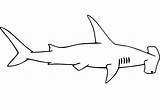 Hammerhead Fishes sketch template