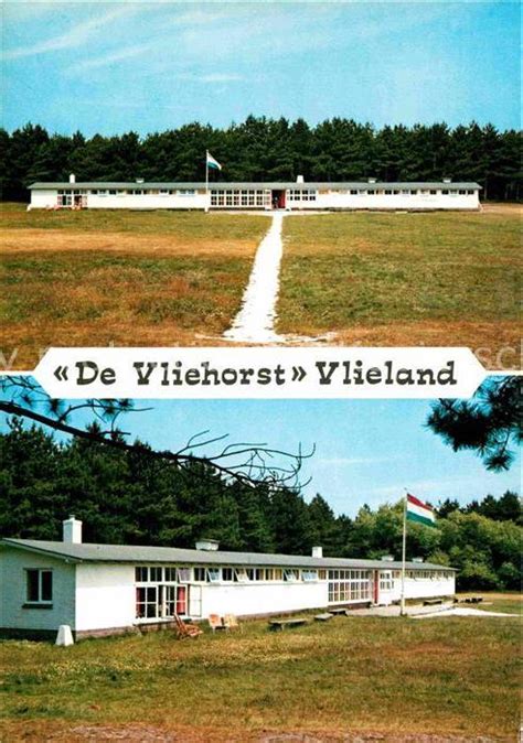vlieland de vliehorst kat niederlande nr kv oldthing ansichtskarten niederlande unsortiert