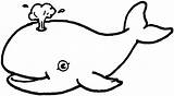 Whale Coloring Pages Kids Whales Print Printable Colouring Colorear Walvis Para Kleurplaat Book Cute Sheets Ballena Baby sketch template