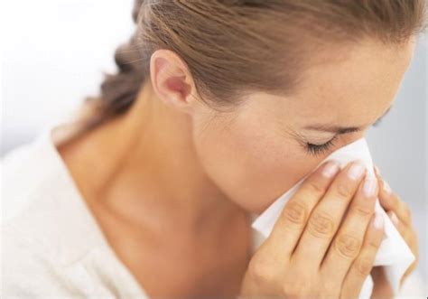 allergy treatment nothing to sneeze at health and science jerusalem