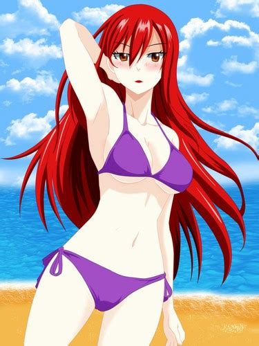 anime và các nhân vật nóng bỏng quyến rũ hình ảnh sexy erza bikini hd hình nền and background