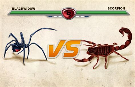 Black Widows Vs Scorpions Pest Control News And Information
