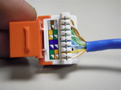 ethernet faceplate wiring