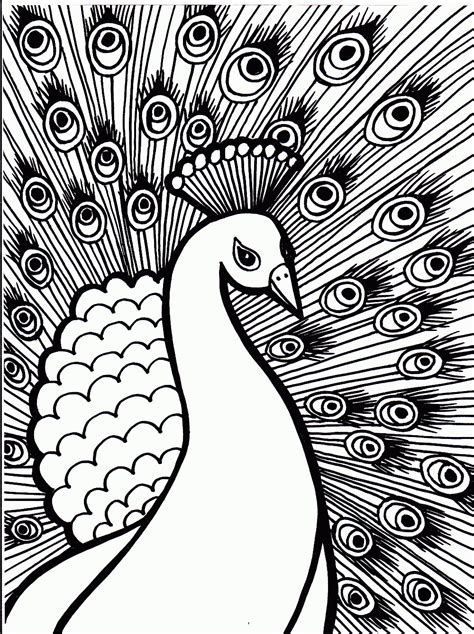 peacock coloring pages    print