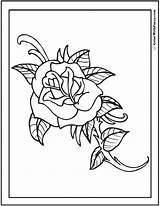 Coloring Rose Pages Cool Simple Color Rosebud Roses Drawing Printable Pdf Bud Printables Soldier Getdrawings Designlooter Memorial Fallen Customize Drawings sketch template