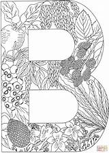 Coloring Letter Pages Printable Adult Letters Alphabet Colouring Plants Supercoloring Sheets Nature Clipart Color Crafts Library Books Book Baby Hard sketch template
