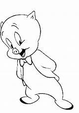 Porky Looney Tunes Popular sketch template