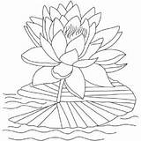 Lotus Coloring Flower Pages Water Blooming Color Printable Clipart Reopen Bloom Kids Gif Library Popular Play sketch template