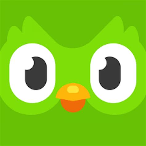 Post Duo The Owl Duolingo Duolingo Owl The Minuscule Task Mascots