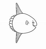 Coloring Sunfish Pages Ocean Printable sketch template