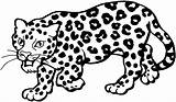 Coloring Leopard Pages Print Popular sketch template