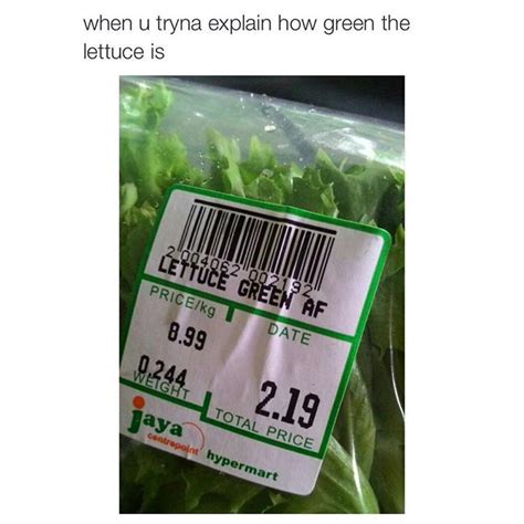 private   instagram  green af clean funny memes  funny pictures
